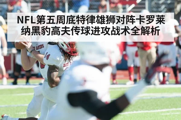 NFL第五周底特律雄狮对阵卡罗莱纳黑豹高夫传球进攻战术全解析